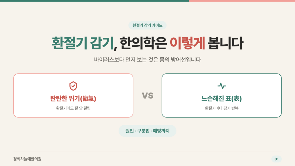 환절기 감기, 한의학은 이렇게 봅니다 — 탄탄한 위기 vs 느슨해진 표 타이틀 카드