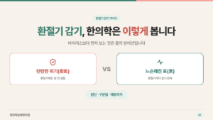 환절기 감기, 한의학은 이렇게 봅니다 — 탄탄한 위기 vs 느슨해진 표 타이틀 카드