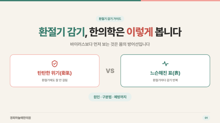 환절기 감기, 한의학은 이렇게 봅니다 — 탄탄한 위기 vs 느슨해진 표 타이틀 카드