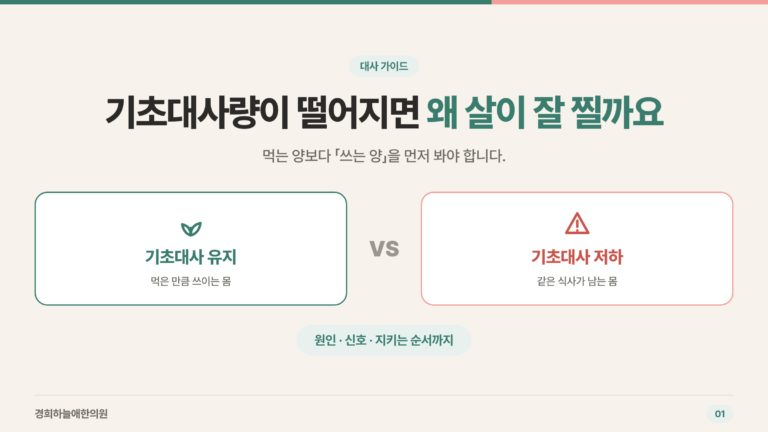 기초대사 유지와 기초대사 저하를 비교한 표지 인포그래픽